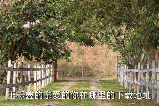 亲爱的你在哪里mp3下载益馨，王栎鑫版的mp3下载地址