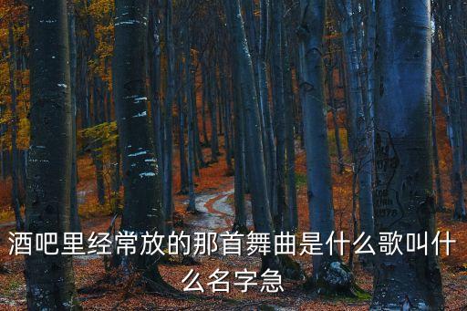酒吧里经常放的那首舞曲是什么歌叫什么名字急