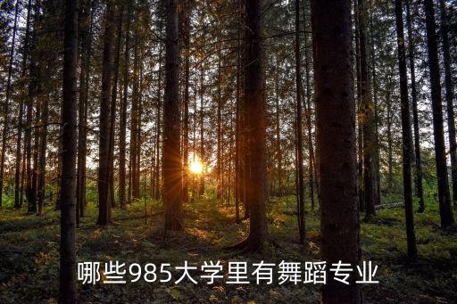 哪些985大学里有舞蹈专业