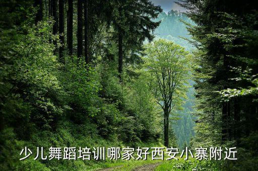 少儿舞蹈培训哪家好西安小寨附近