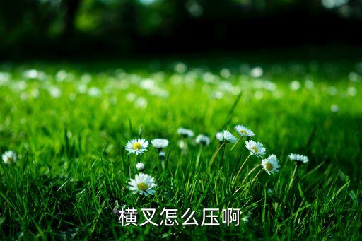 横叉怎么压，横叉怎么压啊