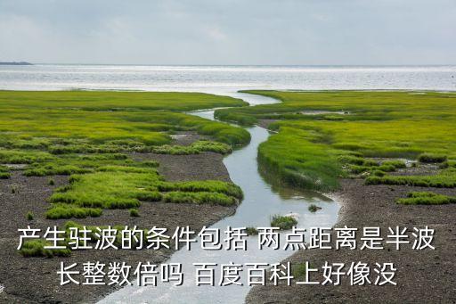 糖豆广场舞太湖一莲广场舞算什么，产生驻波的条件包括 两点距离是半波长整数倍吗 百度百科上好像没