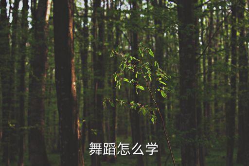 学舞蹈需要怎么做，舞蹈怎么学