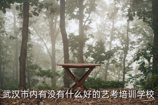 武汉最好的艺考培训，武汉艺考生培训哪里比较正规
