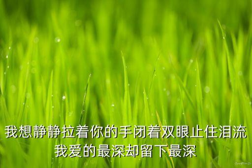 我想静静爱着你这句歌词是什么歌，我想静静拉着你的手闭着双眼止住泪流我爱的最深却留下最深