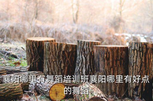 襄县哪个民族舞班好f，三门峡那个舞蹈班最好