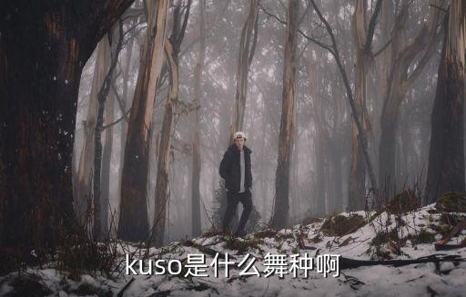 kuso是什么舞种啊