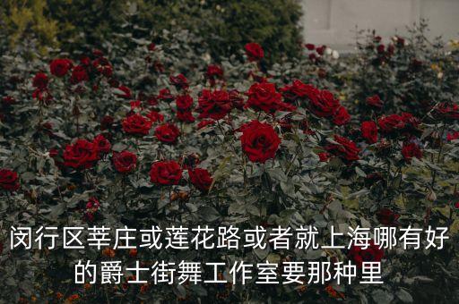 闵行区莘庄或莲花路或者就上海哪有好的爵士街舞工作室要那种里