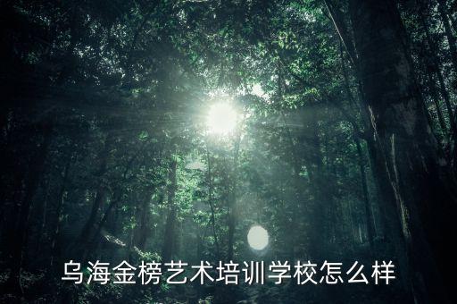 乌海金榜艺术培训学校怎么样