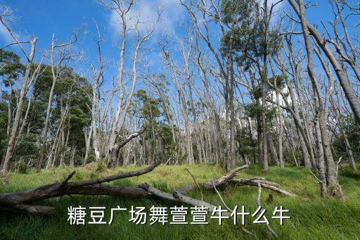 糖豆广场舞萱萱牛什么牛