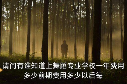 请问有谁知道上舞蹈专业学校一年费用多少前期费用多少以后每