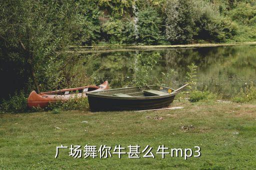王光成舞蹈你牛什么牛，广场舞你牛甚么牛mp3