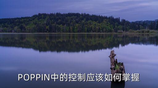 POPPIN中的控制应该如何掌握