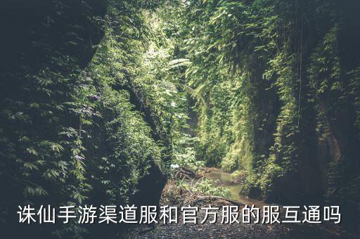渠道服和官服互通吗，原神米哈服和小米服互吗