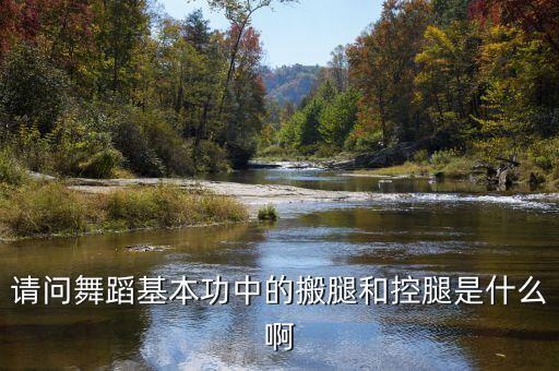 如何把前腿搬起来，怎么搬腿前后旁急需