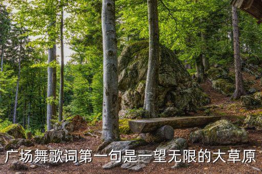 广场舞歌词第一句是一望无限的大草原