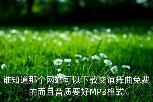 谁知道那个网站可以下载交谊舞曲免费的而且音质要好MP3格式