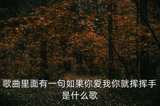 歌曲里面有一句如果你爱我你就挥挥手是什么歌