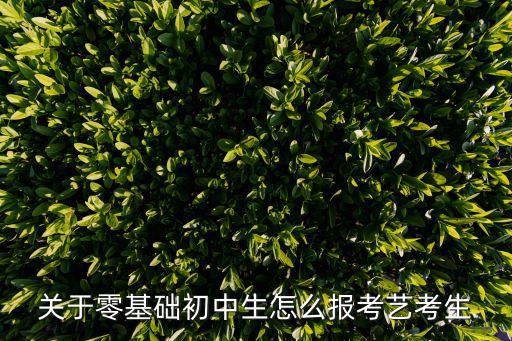 关于零基础初中生怎么报考艺考生