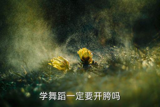 学舞蹈为什么要开胯，开跨有什么好处