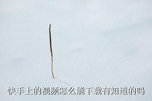 快手上的视频怎么能下载有知道的吗