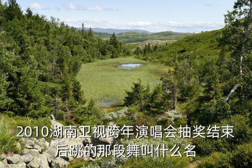 2010湖南卫视跨年演唱会抽奖结束后跳的那段舞叫什么名