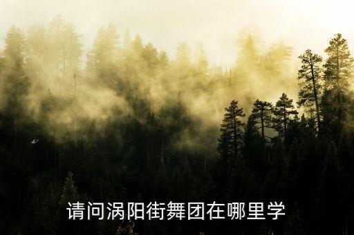 涡阳有什么舞蹈学校，请问涡阳街舞团在哪里学