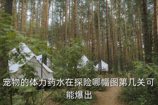 爱情龙怎么获得体力，织女请问十二生肖中哪个肖是织女生肖