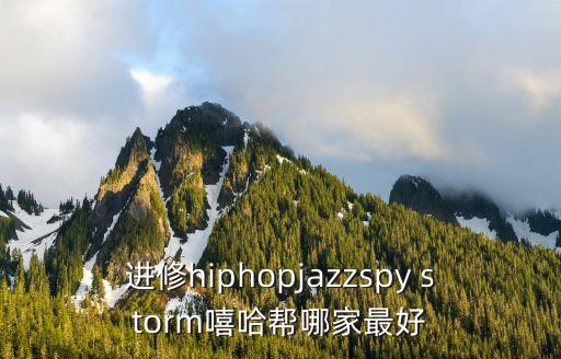 进修hiphopjazzspy storm嘻哈帮哪家最好