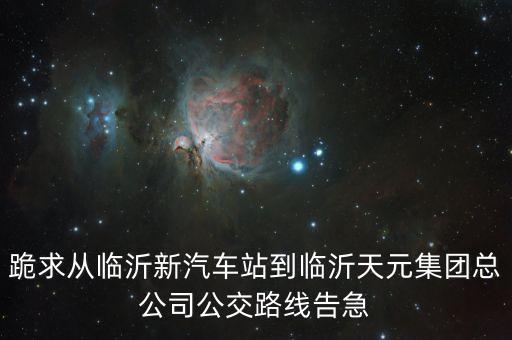 跪求从临沂新汽车站到临沂天元集团总公司公交路线告急