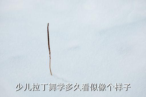 少儿拉丁舞学多久看似像个样子
