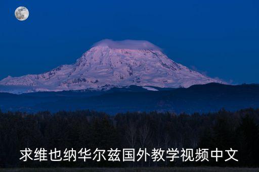 求维也纳华尔兹国外教学视频中文