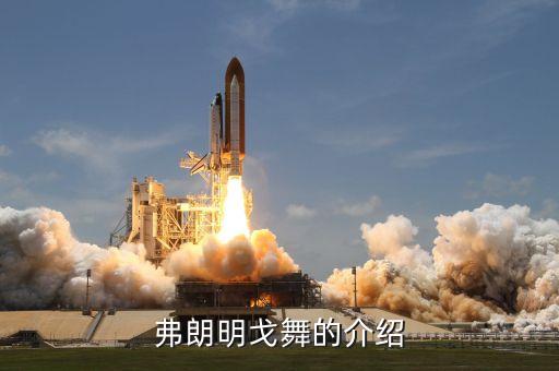 弗朗明戈舞的介绍