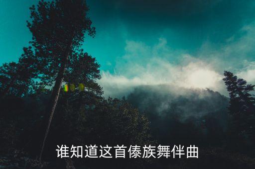 傣族舞蹈梦之雀用的音乐叫什么，谁知道这首傣族舞伴曲