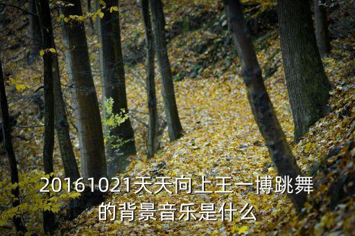 20161021天天向上王一博跳舞的背景音乐是什么