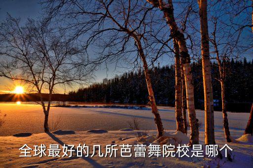 全球最好的几所芭蕾舞院校是哪个