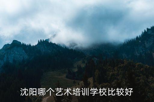 沈阳哪个艺考培训机构好，本人是沈阳人谁知道沈阳有哪些好点的艺术培训班我在大东