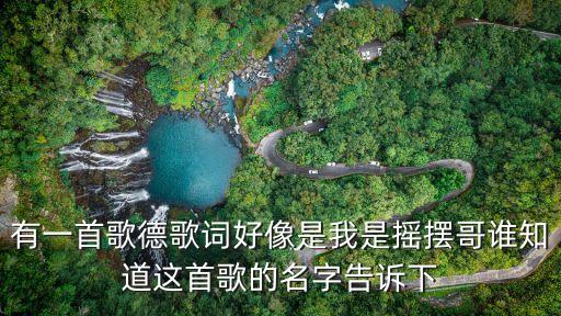 有一首歌德歌词好像是我是摇摆哥谁知道这首歌的名字告诉下
