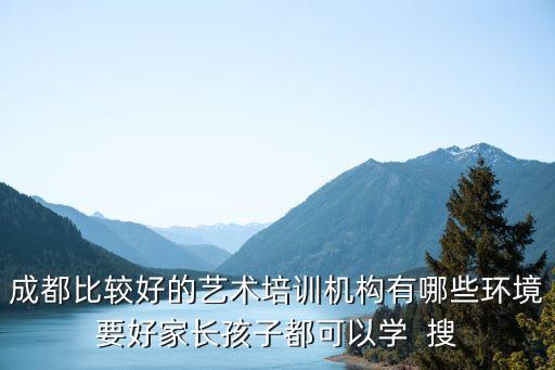 成都比较好的艺术培训机构有哪些环境要好家长孩子都可以学  搜