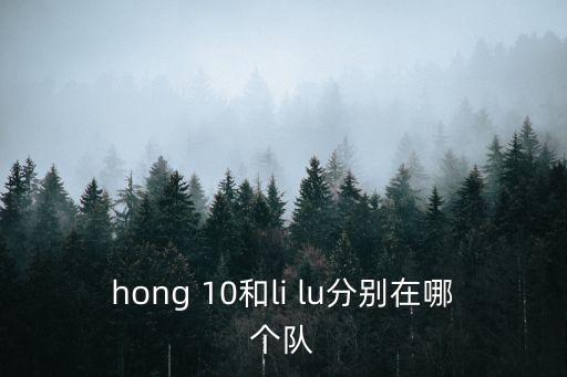 hong 10和li lu分别在哪个队