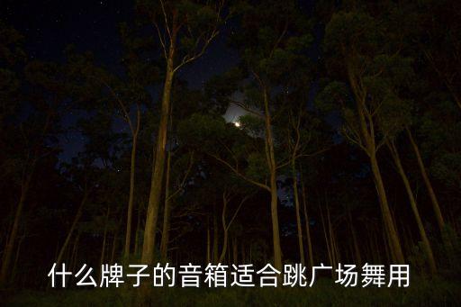 广场舞音响哪个牌子的音质最好，什么牌子的音箱适合跳广场舞用