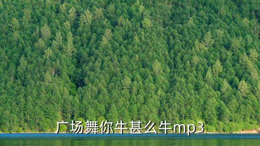 广场舞你牛甚么牛mp3