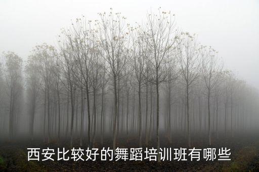 西安比较好的舞蹈培训班有哪些