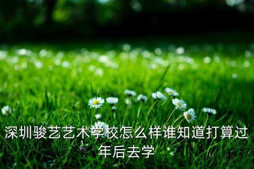 深圳骏艺艺术学校怎么样谁知道打算过年后去学