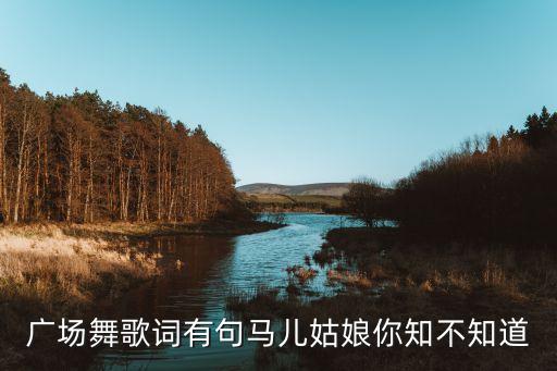 广场舞歌词有句马儿姑娘你知不知道