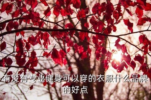 大众健身都有哪些品牌衣服，什么品牌的健身服好点专业一些的