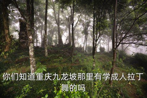小天使拉丁舞怎么样，天津小天使艺术团