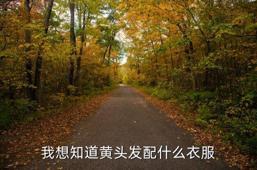 我想知道黄头发配什么衣服