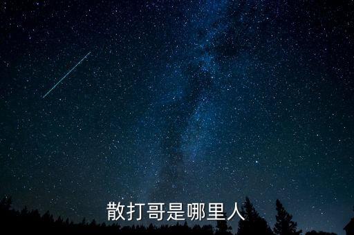 散打哥是哪里人