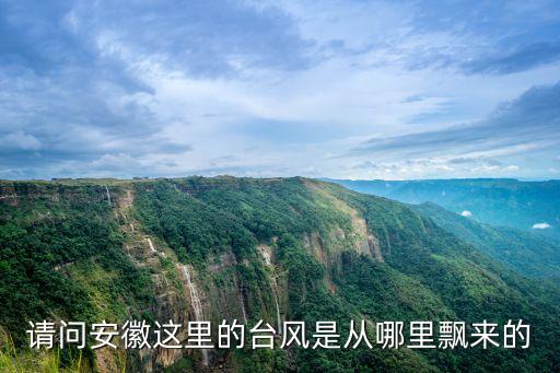 请问安徽这里的台风是从哪里飘来的